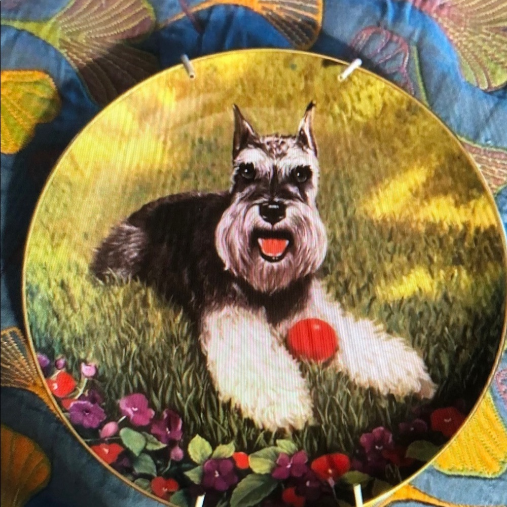 Decorative Schnauzer Plate with Red Ball